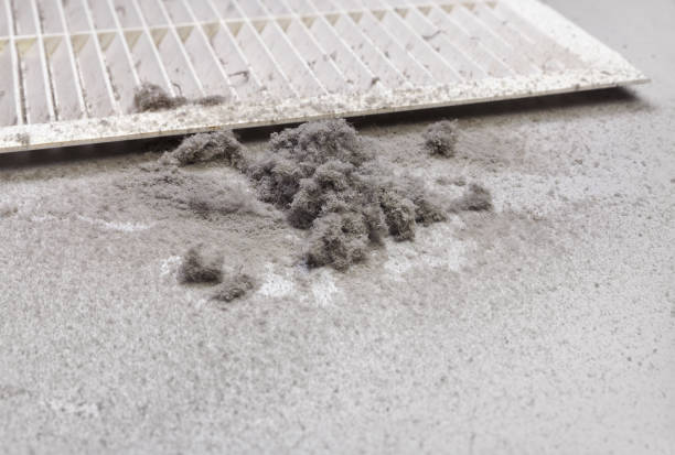 Best Dryer Vent Cleaning Services  in Lake Hamilton, AR
